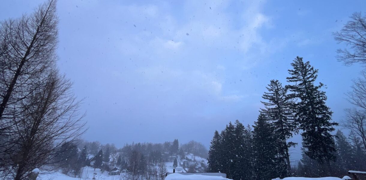 Widok na ławki przysypane grubą warstwą śniegu.